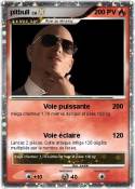 pitbull