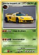 porche leopard