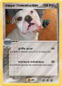 chipper l'indestructible chipper