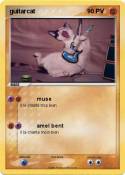 guitarcat