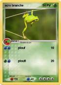 acro branche
