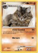 Cat 100 Cat 100