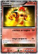 bowser bowser