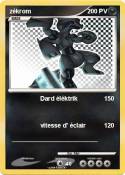 zékrom zékrom