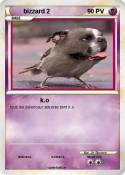 bizzard 2