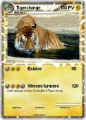 Tigercharge