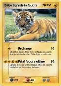 Bébé tigre de