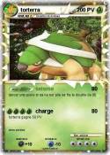 torterra
