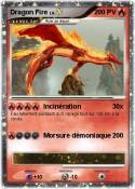 Dragon Fire