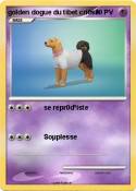 golden dogue du