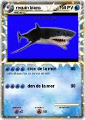 requin blanc