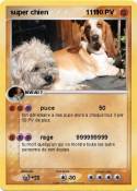 super chien