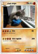 chat sinpe