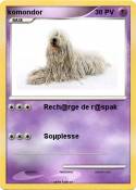 komondor