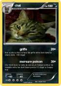 chat