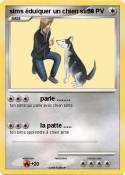 sims éduiquer