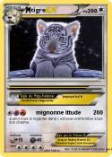 tigre