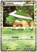 torterra