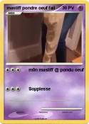 mastiff pondre oeuf fail mastiff pondre