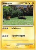 beauceron beauceron