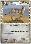 guépardo