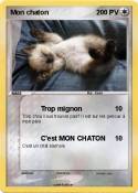 Mon chaton