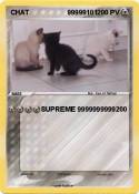 CHAT 99999101