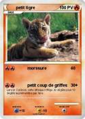 petit tigre