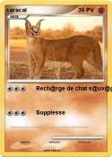 caracal