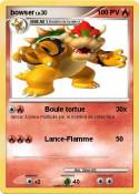 bowser