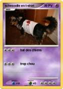 schnoodle en
