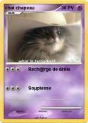 chat chapeau