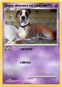 dogue allemand