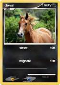 cheval cheval