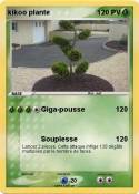 kikoo plante