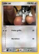 Litlle cat