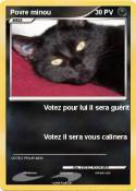 Povre minou