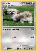 ponchiot