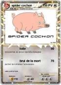 spider cochon