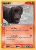 electo EX electo EX