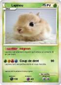 Lapinou