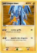 petit dragon