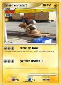 briard en