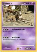 greyhound