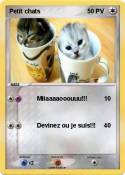 Petit chats