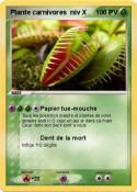 Plante
