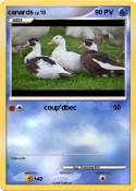 canards canards