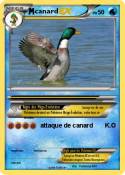 canard