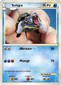 Tortigre Tortigre