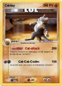 Catday